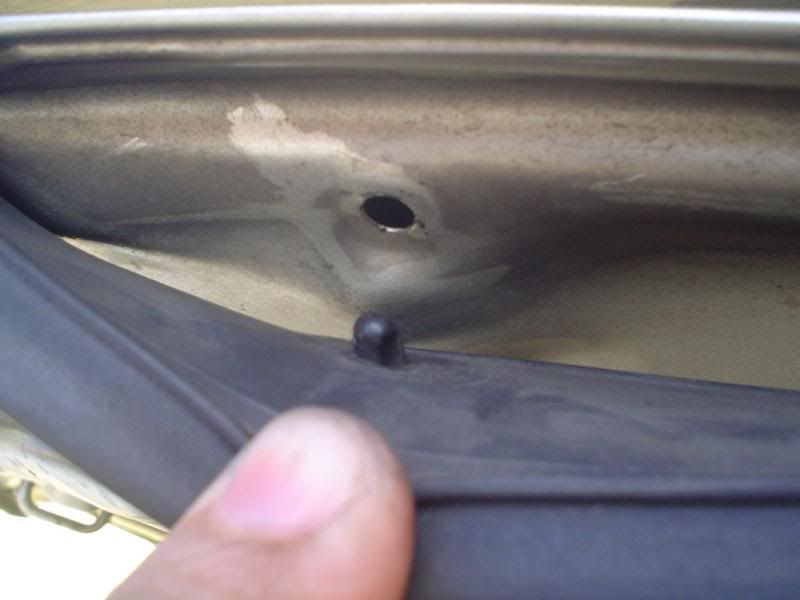 How To Install Hood Protector Toyota Rav4